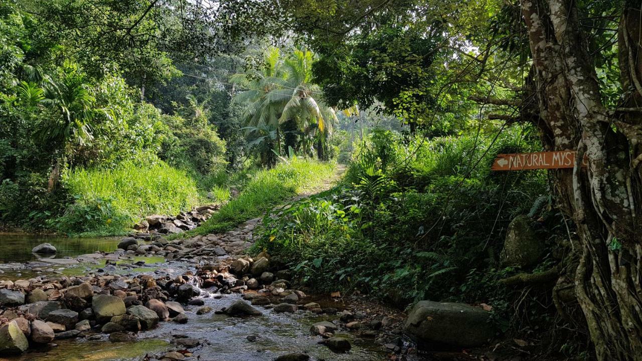 Natural Mystic Sanctuary Deniyaya Exterior photo